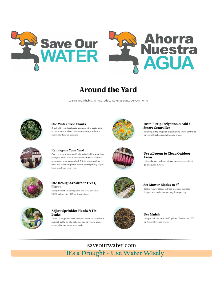Ways to save water around the yard